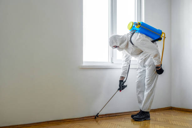 Best Best Pest Control Companies  in Annandale, VA