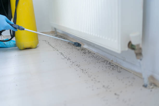 Pest Control for Restaurants in Annandale, VA