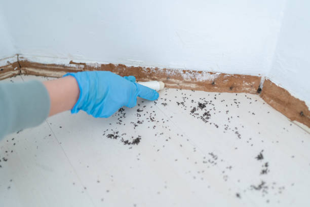 Best Affordable Exterminators  in Annandale, VA