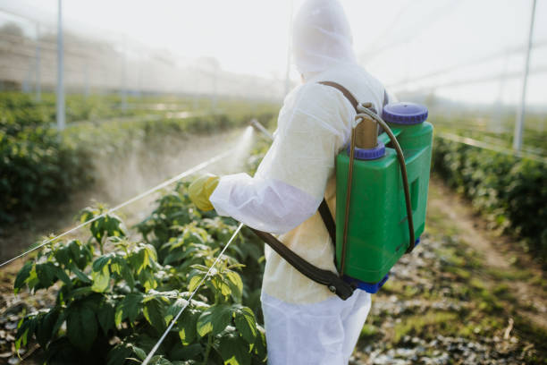 Best Cockroach Control Services  in Annandale, VA